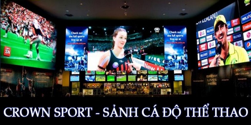 CR Sports ngày càng cuốn hút nhờ hệ thống phần thưởng giá trị